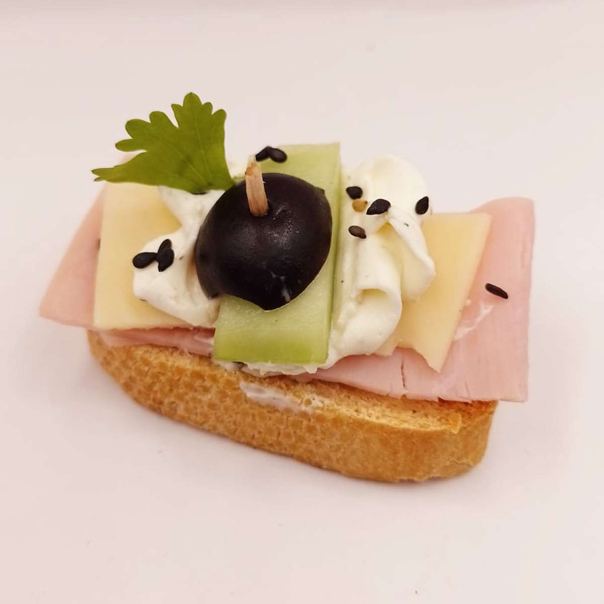 Canapés en San Luis Potosí
